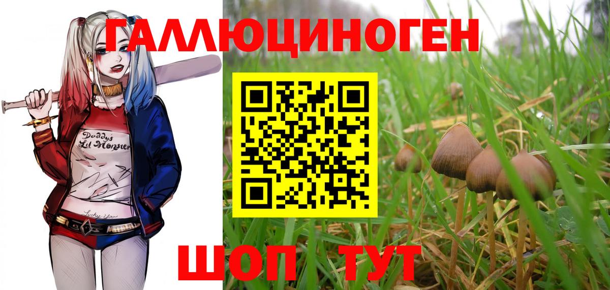 Псилоцибиновые грибы MAGIC MUSHROOMS Апрелевка