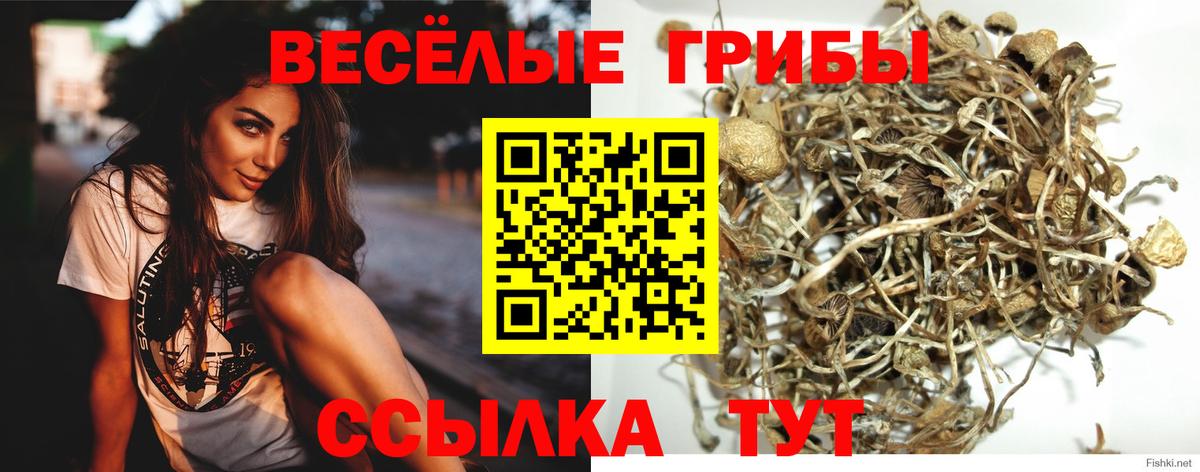 Галлюциногенные грибы мицелий  Вход с VPN  Галлюциногенные грибы прущие грибы  Апрелевка 
